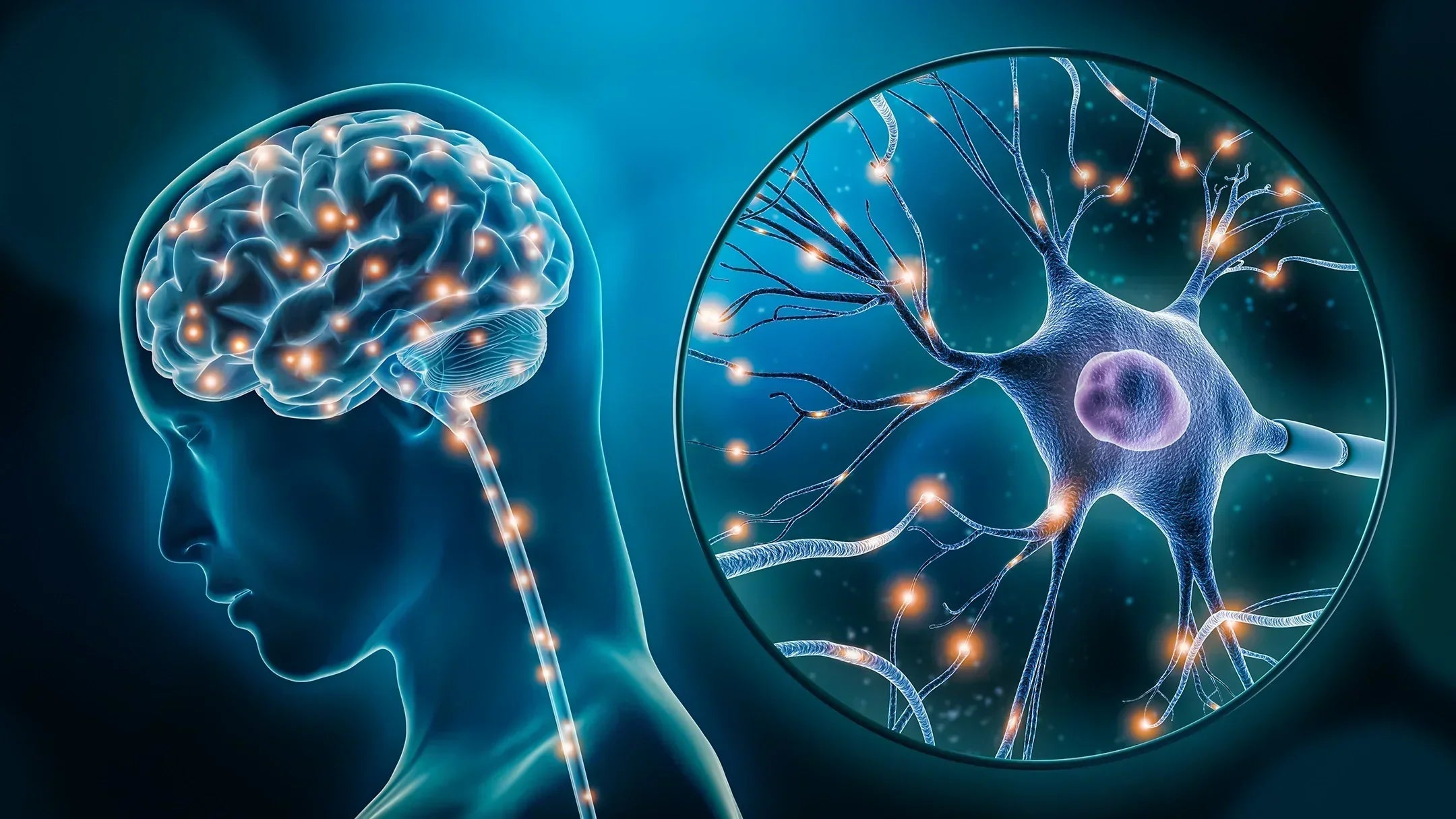 How to stimulate the vagus nerve and why it's important to your health