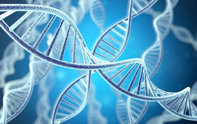 5 science-backed blogs packed with everything you need to know about longevity