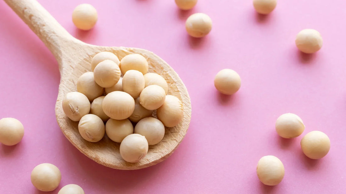 Phytoestrogens: What they are and food sources?