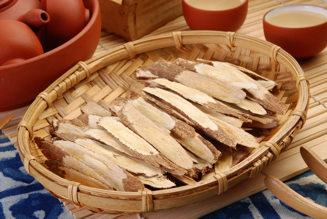 The benefits of astragalus, the powerhouse immune building plant