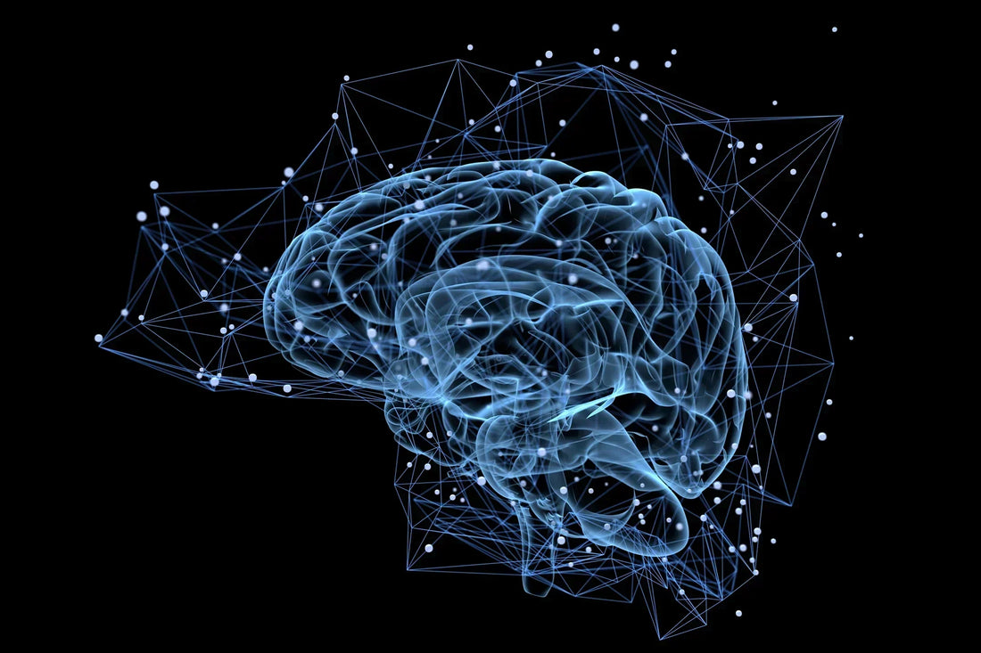 Collagen benefits for the brain and wellbeing