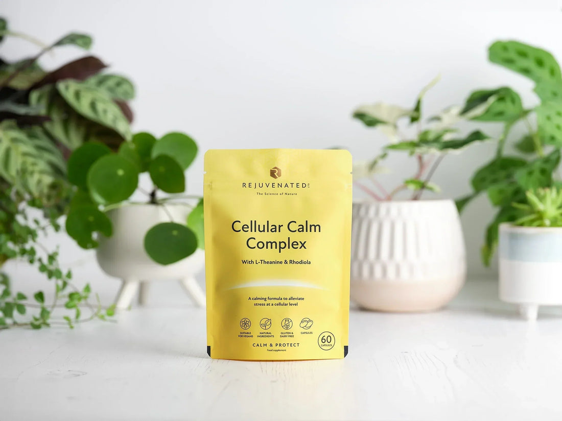 How Cellular Calm Complex prevents the ageing effects of stress