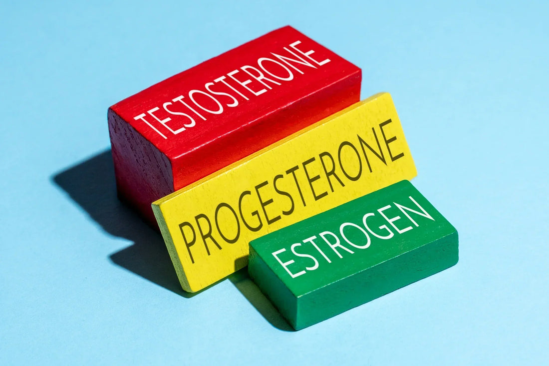 Understanding oestrogen, progesterone and testosterone