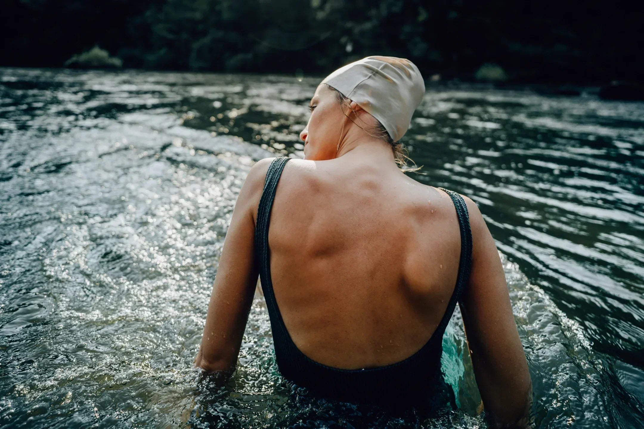 What is the difference between brown fat and white fat?