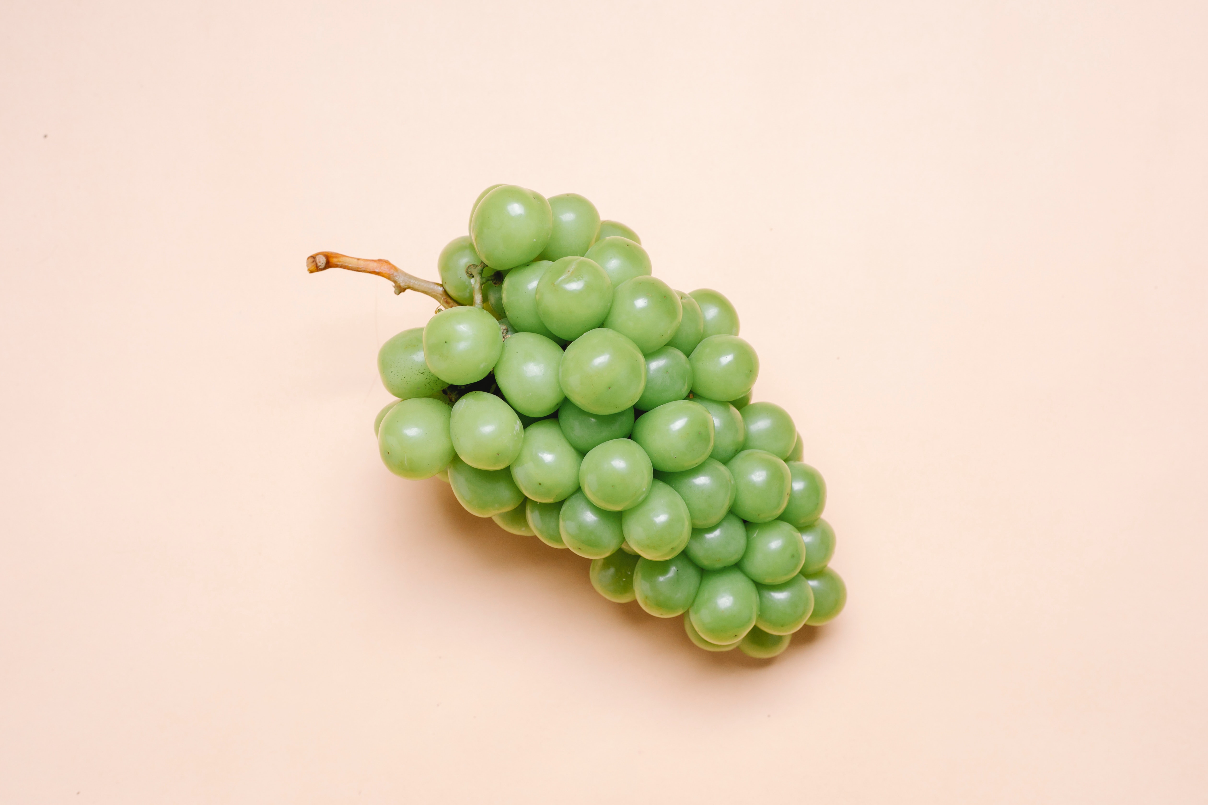 Is grape seed extract an anti-inflammatory?